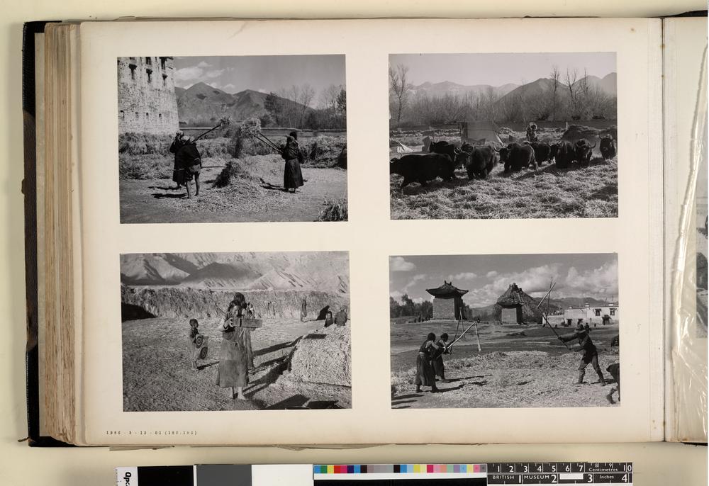 图片[2]-photographic print(black and white); album BM-1986-0313-0.1.185-China Archive